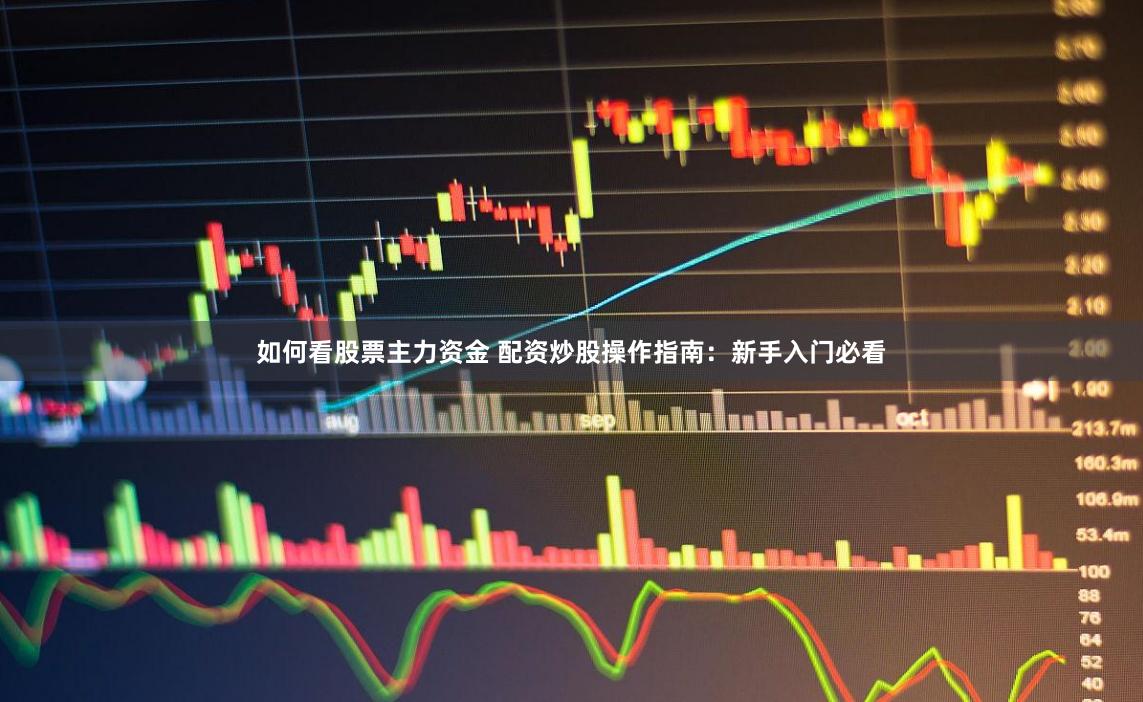 如何看股票主力资金 配资炒股操作指南：新手入门必看