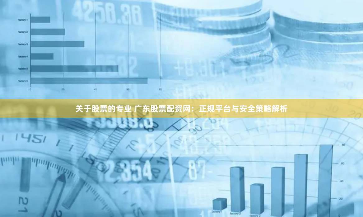 关于股票的专业 广东股票配资网：正规平台与安全策略解析